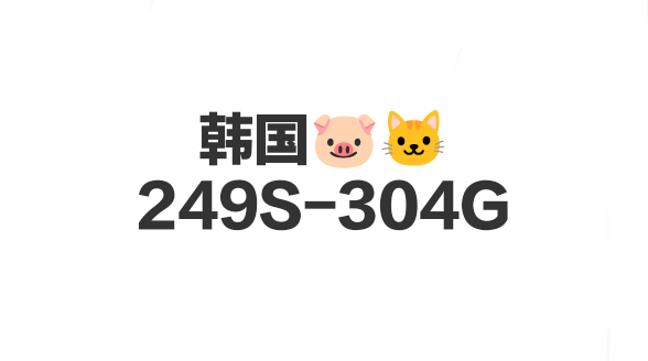 韩国🐷🐱249S-304G