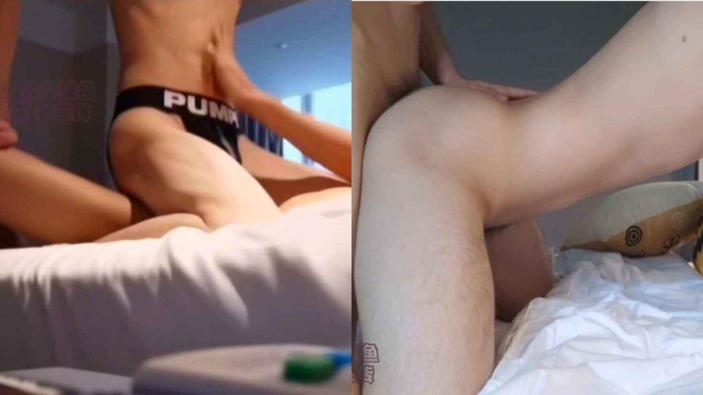 小狼狗本狼合集